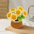 thumbnail image 7 of EGYMEN Handmade Crochet Potted Plants, Handcrafted Desk Decoration for Home and Office, Unique Gift Idea for Teachers, Moms, Friends, 7 of 7