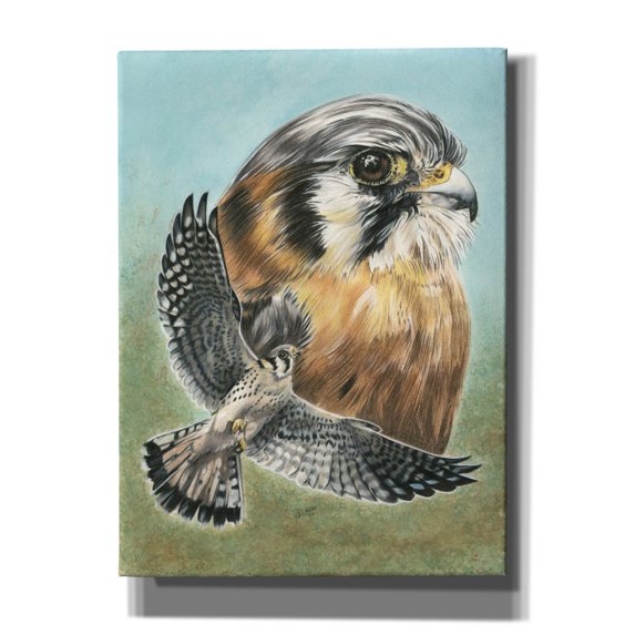Epic Graffiti 'American Kestrel' by Barbara Keith, Canvas Wall Art, 40"x54"