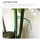 thumbnail image 4 of unbranded 500Ud Para Plantas De Jardín Material Flexible Para Sostener Ramas Y Entrenar Plantas, 4 of 6