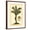 Brown Frame, variant on Art.com British Colonial Palm IV Art Print, 12" x 16"