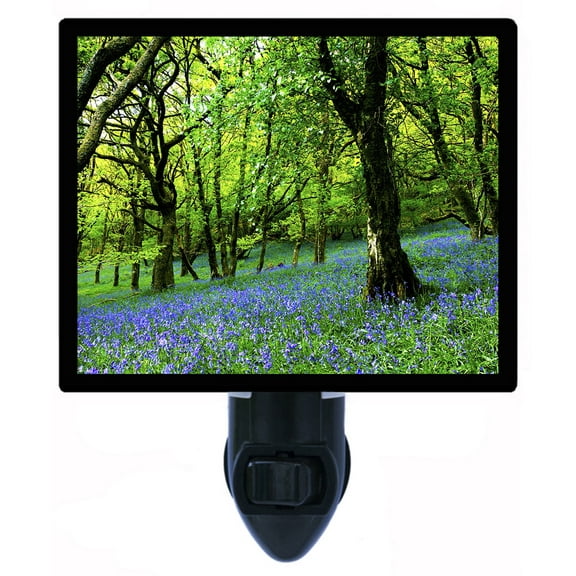 Night Light - Bluebell Fairyland. | Landscape and Garden Theme, Includes Free Switchable Insert, 4W Bulb, E12 Base
