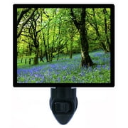 Landscape and Garden Decorative Photo Night Light Plus One Extra Free Switchable Insert. 4 Watt Bulb. Image Title: Bluebell Fairyland. Light Comes with Extra Bulb.