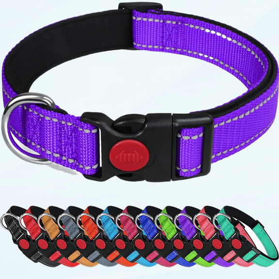 Reflective Dog Collar with Safety Locking Buckle, Adjustable Nylon Pet Collars for Large Dogs Female Male, Violet, L