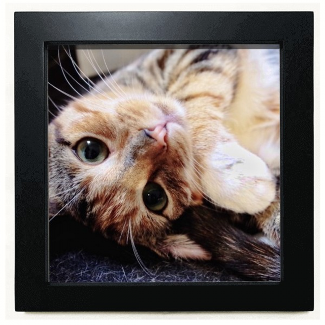 Stripes Kitty Cat relajarse animal adorable Mesa de pared con marco cuadrado negro