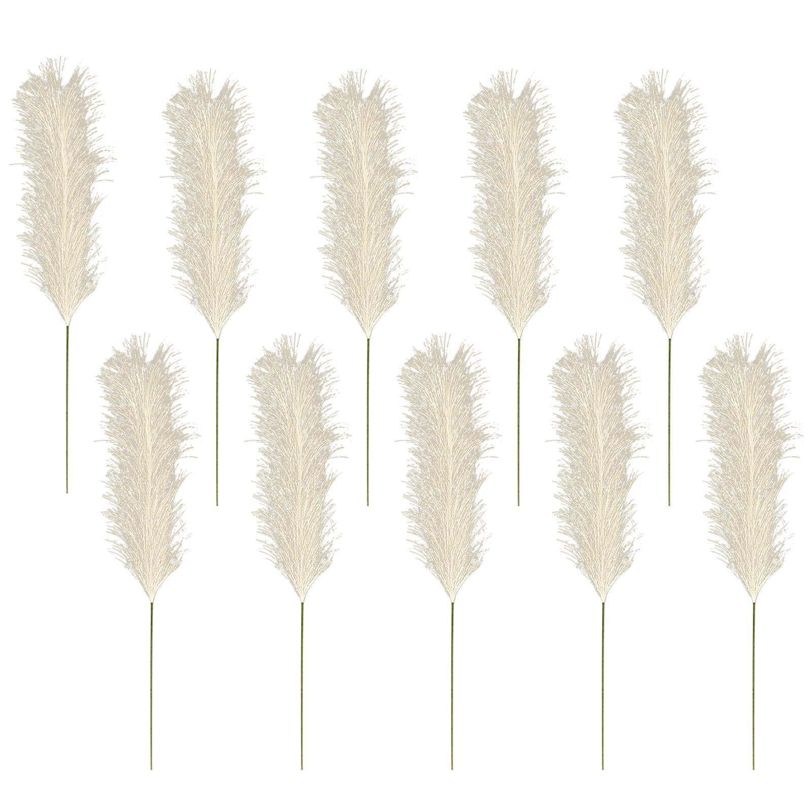 Faux Pampas Gras - White (5 Stems) – Pamally