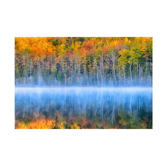 Yimei Sun 'Fall Color' Canvas Art