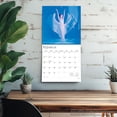 thumbnail image 5 of Ballet | 2026 12x24" (Hanging) Square Wall Calendar | Plastic-Free | BrownTrout, 5 of 9