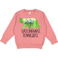 thumbnail image 2 of Inktastic Gatlinburg, Tennessee Mountains and Bear Shape Toddler Sweatshirt, 2 of 4