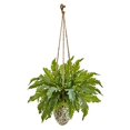 thumbnail image 1 of Nearly Natural 8752 29 in. Fern Artificial Plant in Hanging Vase, 1 of 1