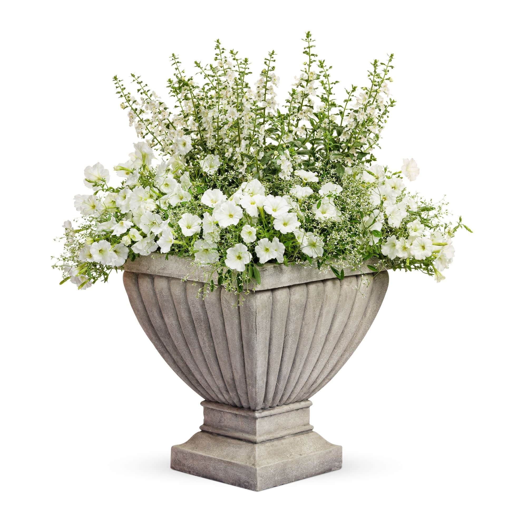 Proven Winners 4" Supertunia Mini Vista White Petunia Live Plant in 4.25" Pot (4 Count)
