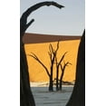 thumbnail image 2 of Kaveney, Wendy 10x14 Gold Ornate Wood Framed with Double Matting Museum Art Print Titled - Trees and dunes, Dead Vlei, Sossusvlei, Namibia, 2 of 4