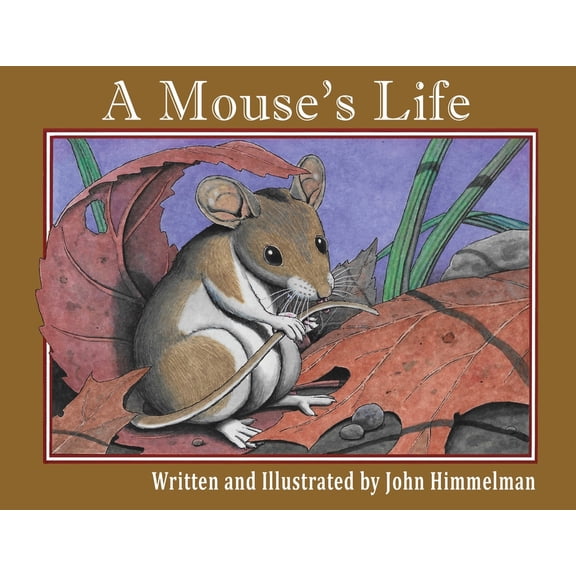 A Mouse's Life, (Paperback)