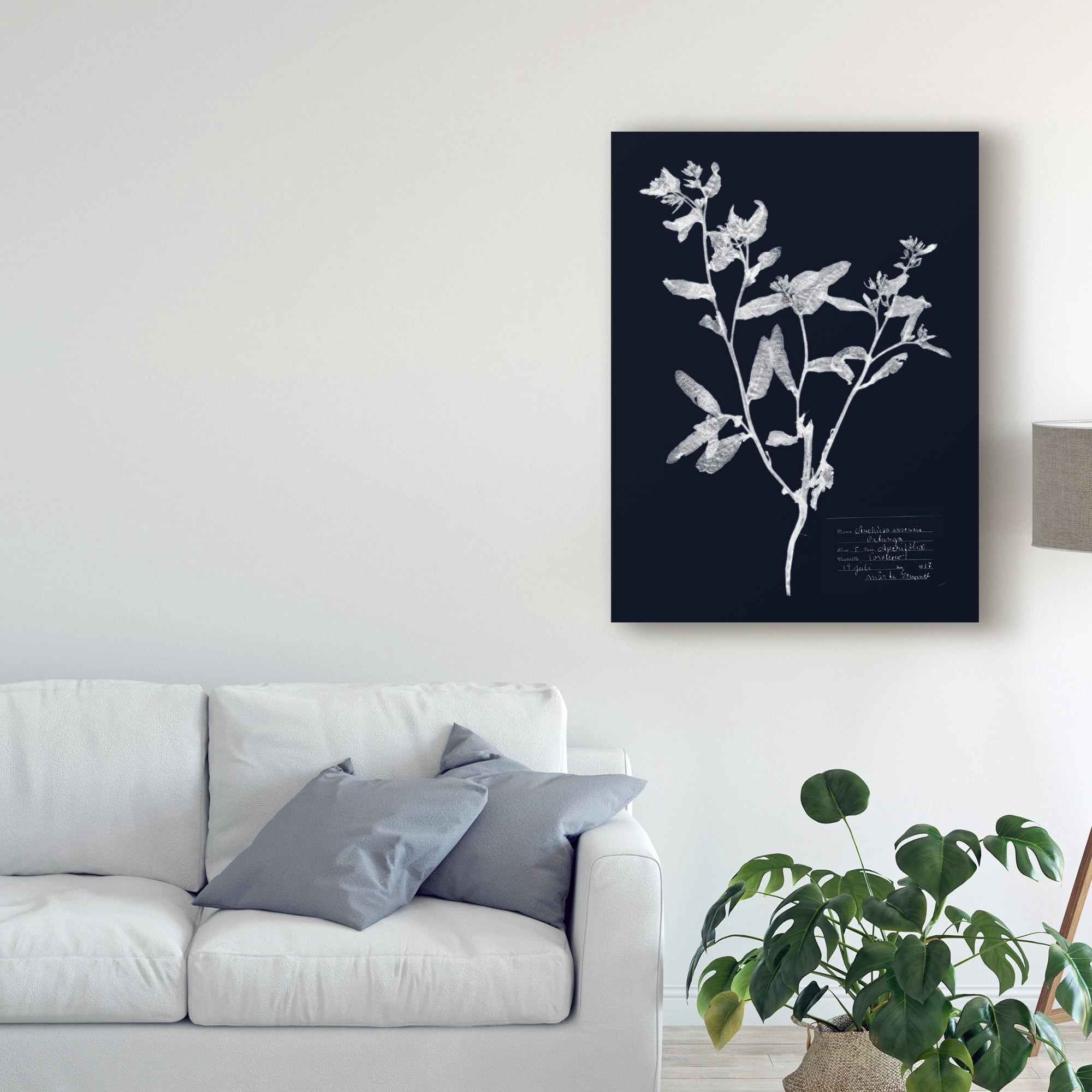 Trademark Fine Art 'Impressions on Indigo III' Canvas Art by Vision Studio