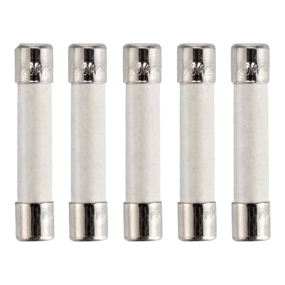 Scaroo WB27X10928 Microwave Fuse Fit For GE Replaces with 1262970 5-PACK