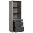 thumbnail image 3 of ACME Estevon 3-Shelf Rectangular Bookcase in Gray Oak, 3 of 6