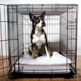 thumbnail image 2 of Coussins pour chien - Hartz Home Protection Training Pads™, 2 of 5