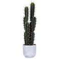thumbnail image 1 of Vickerman FH181101 Aloe Vert de 27.5 Po dans un Pot en Béton, 1 of 2