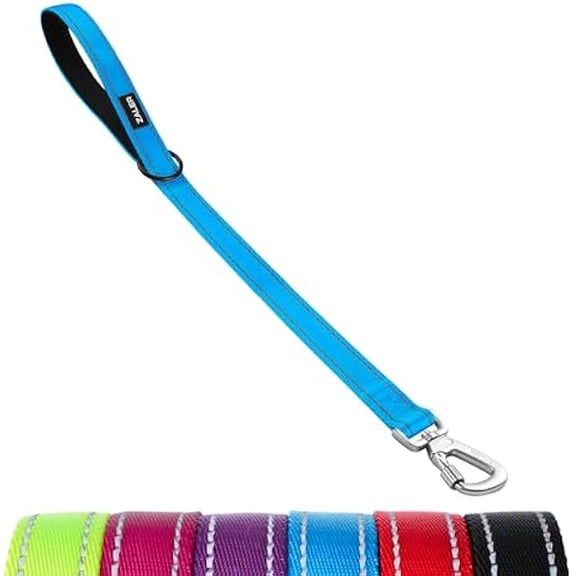 Eryueer Short Dog Leash 2 ft, 24 Inches Traffic Leashes for Dogs, Nylon Reflective Dog Lead with Padded Handle, Heavy Duty Pet Leash with Carabiner Clip for Large and Medium Dogs (24" Blue)