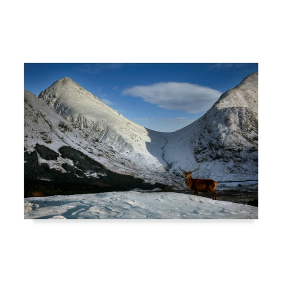 Trademark Fine Art 'Scotland 5' Canvas Art by Maciej Duczynski