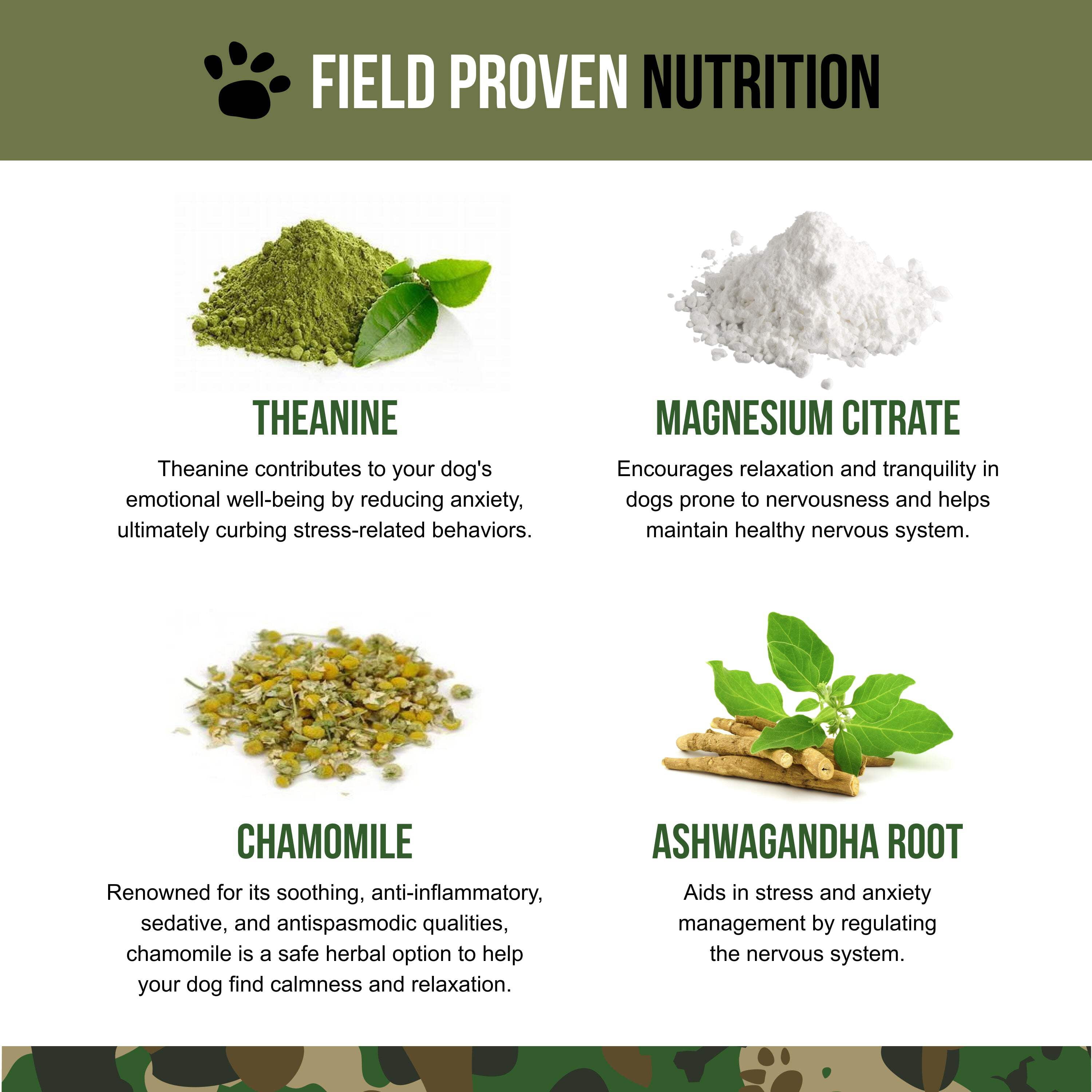 Operation Good Boy SRE: Calming Health Supplement for Dogs, Beef Liver Flavor, Ready to Eat, 90 Soft Chews