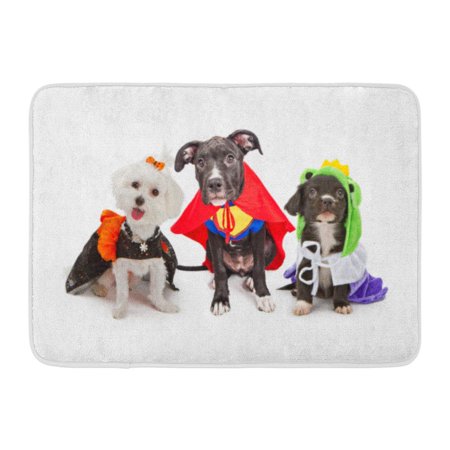 SIDONKU Three Cute Little Puppy Dogs Dressed Up in Halloween Costumes Including Witch and Frog Prince Doormat Floor Rug Bath Mat 23.6x15.7 inch