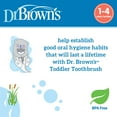 thumbnail image 5 of Dr. Brown's Baby & Toddler Training Toothbrush with Soft Bristles, Gray Otter, 1-4 Years, 1 Pack, 5 of 15