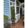 Two 5 Foot Artificial Topiary Cedar Trees Potted Indoor Outdoor Plants