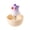 Purple, variant on Parrot Feeder - Interactive Poly Bird Food Dispenser Toy, Durable Chew Resistant Design for Budgies Sun Conure Small Pet Birds Entertainment Use