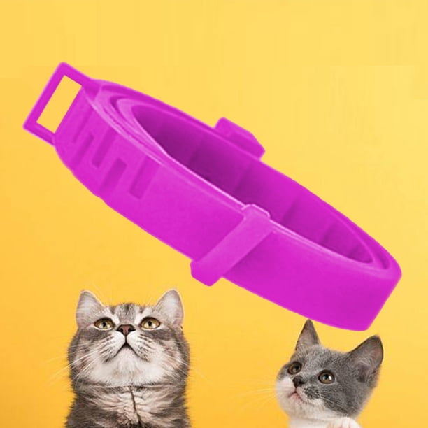 Collar antipulgas Anti-ansiedad Gato Perro Collar antiparasitario Impermeable Cachorros Suministros para perros Hugtrwg Para estrenar