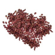 100+ Dragonfruit Seeds (Pitaya / Pitahaya / Strawberry Pear) Hylocereus ...