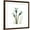 Brown Frame, variant on Art.com A Daffodil Day Stretched Canvas Print Wall Art by Albert Koetsier, 30" x 30"