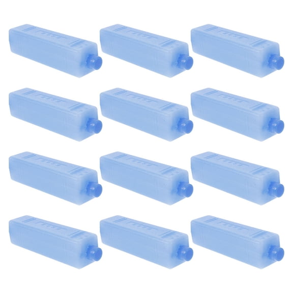 HONMEET 12Pcs Blue Reusable Ice Packs for Cooler Air Conditioner Fans Portable Small Gel Ice Sheets for Home Use