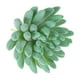 thumbnail image 3 of Plantas suculentas artificiales Uxcell sin maceta, simulación de plantas, verdes, paquete de 2, 3 of 5