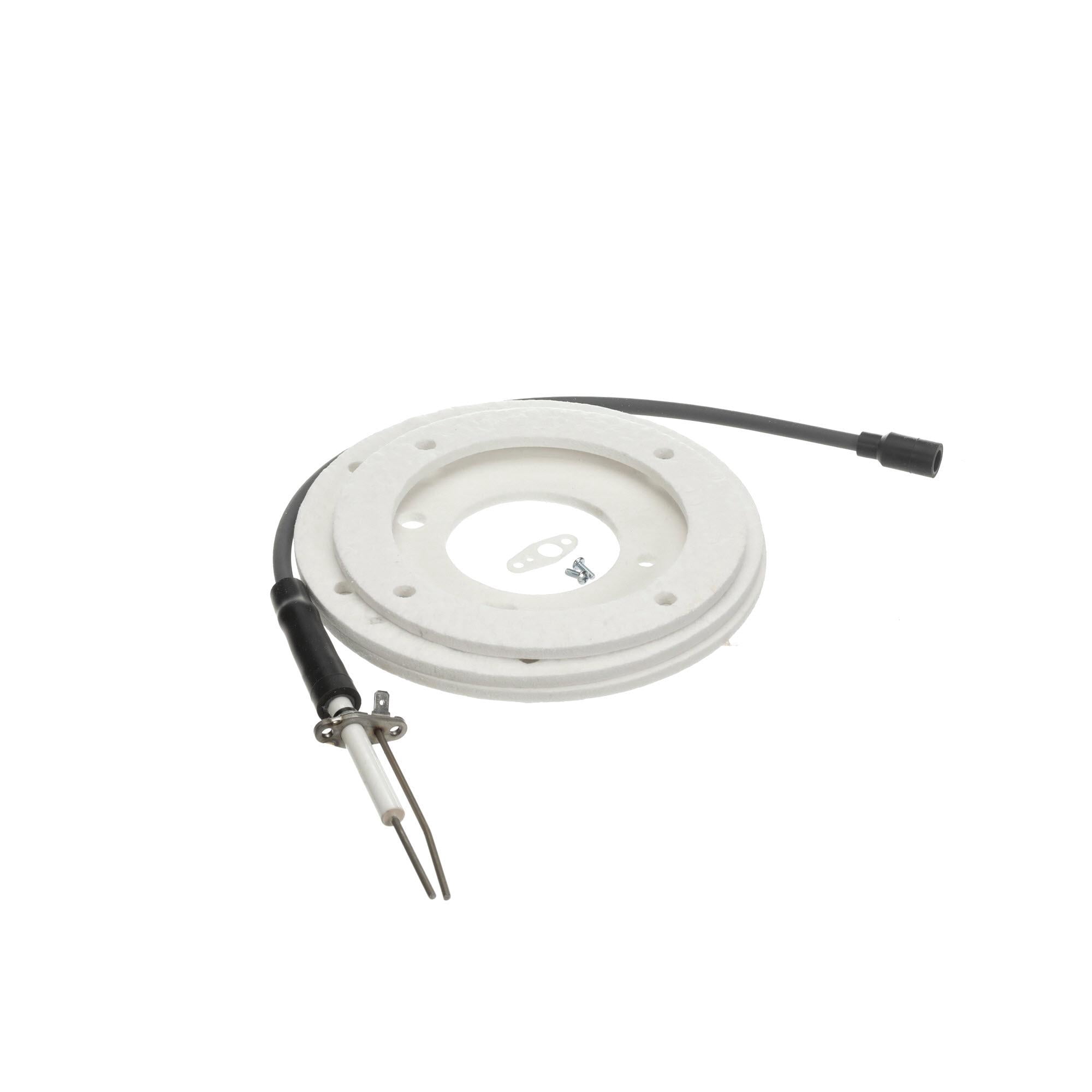 Ao Smith Water Heater Ignitor 100191120 - Genuine OEM Replacement Part