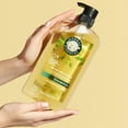 Herbal Essences Shine Shampoo, Chamomile, 29.2 fl oz