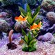 thumbnail image 1 of Raindrops Planta Artificial Para Acuario Ideal Para Y Refugio De Peces, 1 of 7