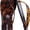 LeopardPrintBlack, variant on Splash Jelly Flip Flops for Women With Flexible Sole Glossy Jelly Finish Summer Sandals for Women