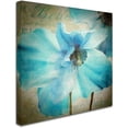 thumbnail image 2 of Trademark Fine Art "Himalayan Blue II" Canvas Art by Color Bakery, 2 of 3