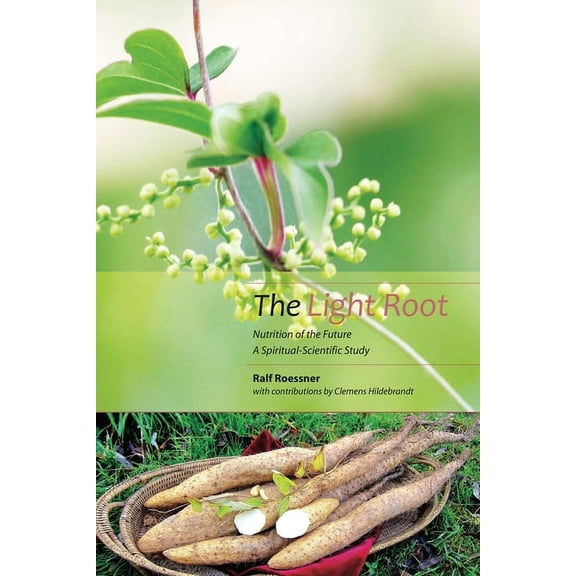 The Light Root (Paperback)