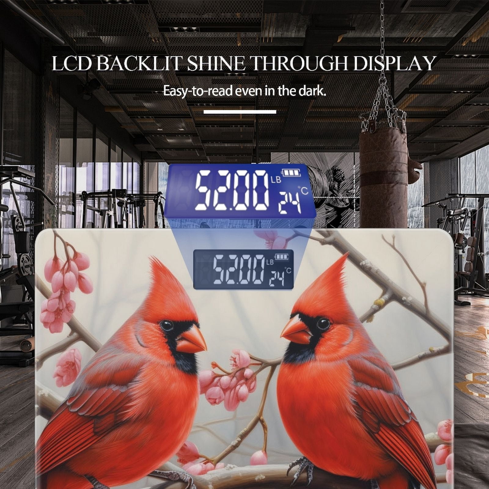Digital Bathroom Scale with Large LCD Display,High Capacity Scale 400 lbs High Precision body fat scale-Red Cardinals Perched On Cherry Blossom Tree