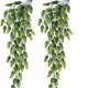 thumbnail image 1 of Nvzi 2 guirnaldas de flores de lúpulo artificiales, plantas colgantes de lúpulo artificial en color verde., 1 of 5