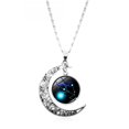 thumbnail image 1 of Collier Pendentif Horoscope Astrologie Signe du Zodiaque Demi-Lune des 12 Constellations, 1 of 10