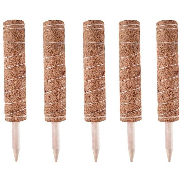 Palos De Palma De Coco Palos De Soporte Para Trepar Plantas Para Que La Planta De Soporte Crezca Hacia Arriba 5 Uds Noticed HA036490-00