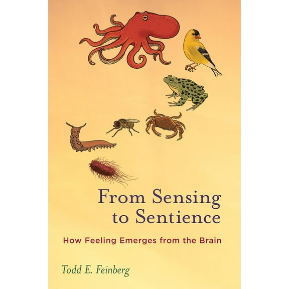 From Sensing to Sentience: How Feeling Emerges from the Brain, (Paperback)