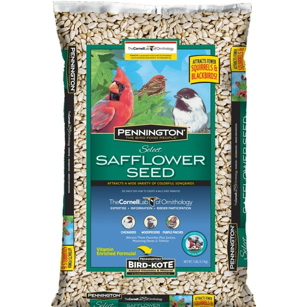 Pennington Wild Bird Feed and seed Select Safflower Seed, 7 Lbs