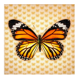 Lenticular Sheets 14 1/2 x 19 - Daisy/Butterfly - LENTICULAR SHEETS -  SPECIALTIES