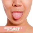 thumbnail image 4 of BEE VIBES Limpiador de Lengua Acero Inoxidable - Tallador limpia lenguas raspador bucal rastrillo de higiene oral, Stainless Steel Tongue Scraper Cleaner (2 Pack+ Estuche), 4 of 6