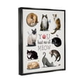 thumbnail image 3 of Stupell You Had Me At Meow Cat Pet Animals & Insects Painting Black Floater Framed Art Print Wall Art, 3 of 6