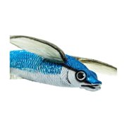 Safari Ltd. Flying Fish Figurine - Lifelike 7 Model Figure - Educational Toy for Boys, Girls, and Kids Ages 18 Months+