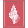 thumbnail image 2 of Fab Funky 15x18 Gold Ornate Wood Framed with Double Matting Museum Art Print Titled - Mixed Nautical White on Coral d, 2 of 4